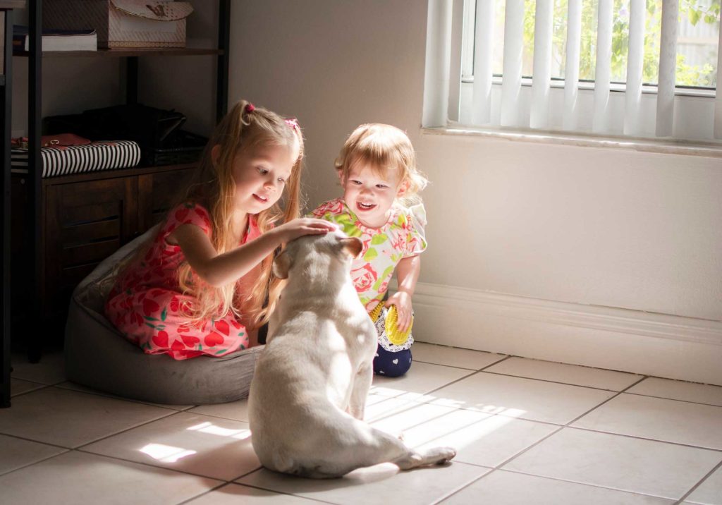 children-playing-with-a-dog-in-the-house