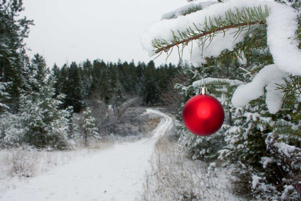 christmas decoration on a tree