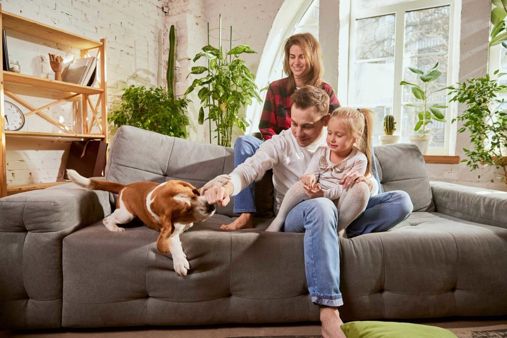 family playing with a new dog